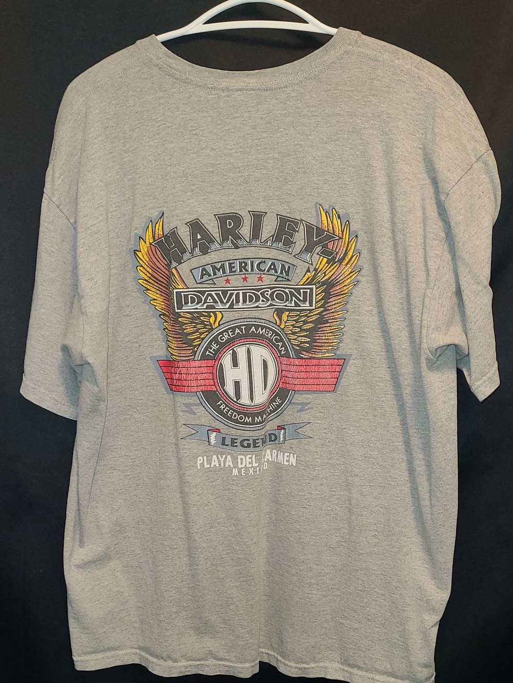Harley-Davidson Gray Tee with Multicolor Winged Graphic XL